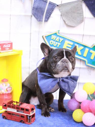 20230412スミレちゃん